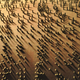 Illustration for article titled 103 Shapely Shadows